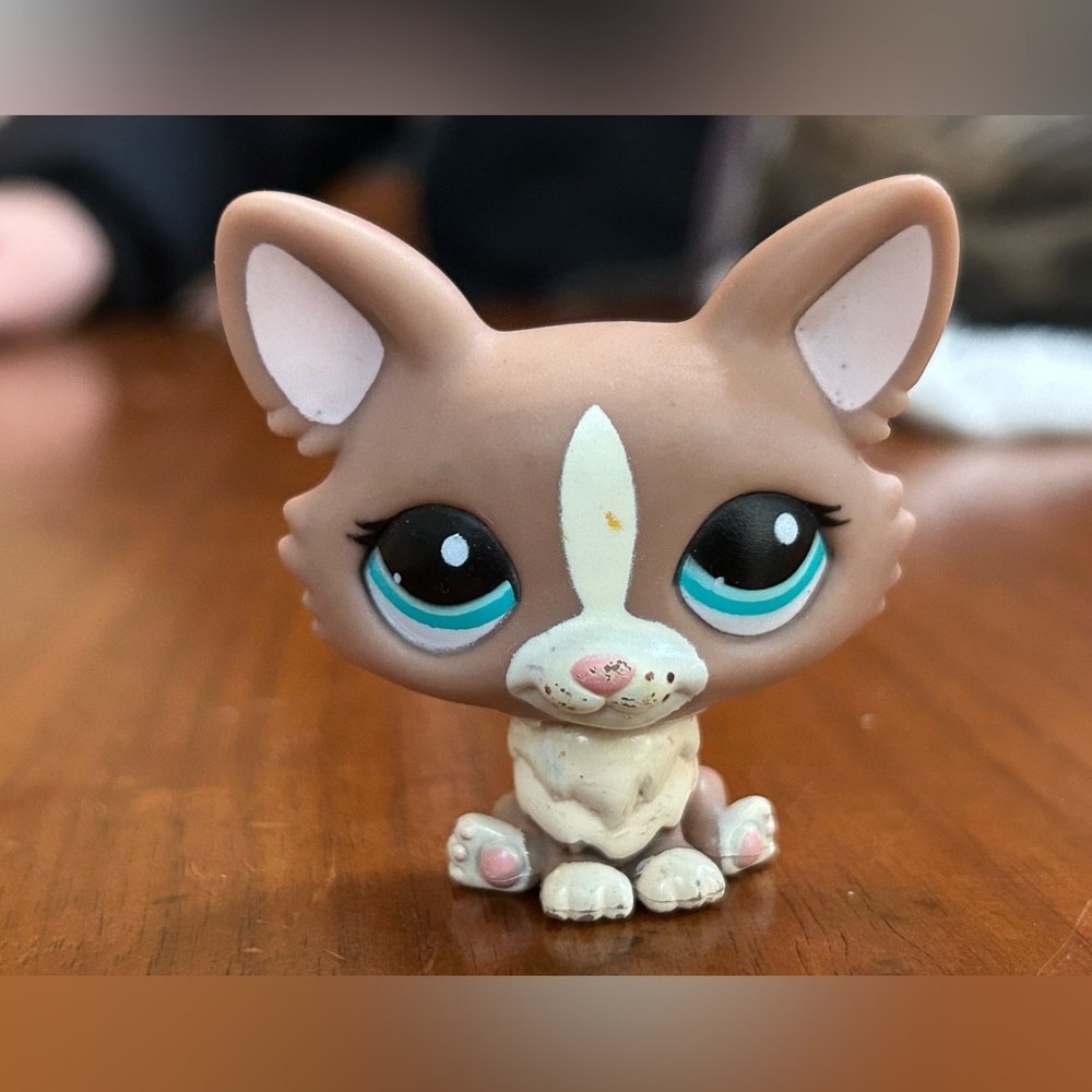Littlest Pet Shop #1864 Corgi Dog Blue Green Eyes Tan White LPS Authentic Puppy